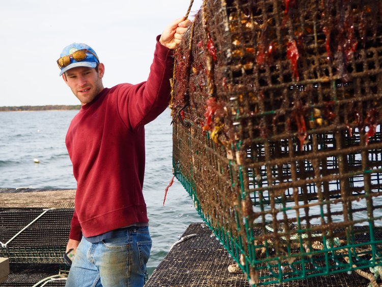Eastern Bays Oyster Company