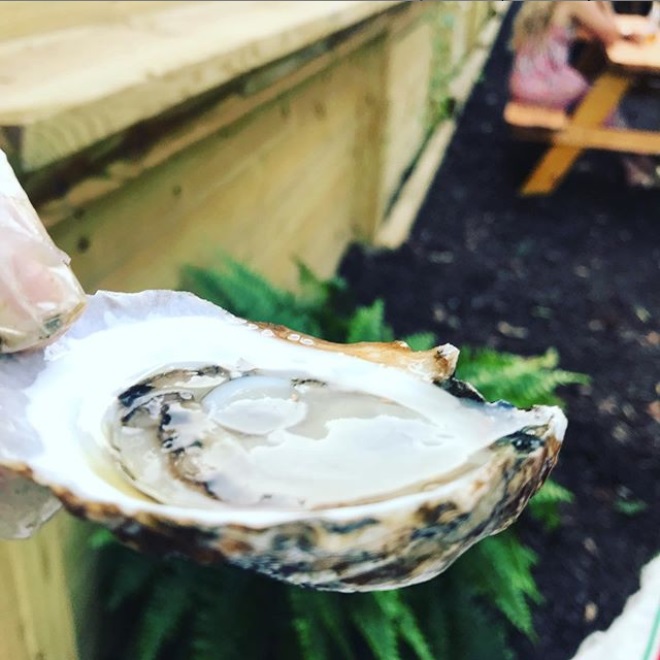 Eastern Bays Oyster Company