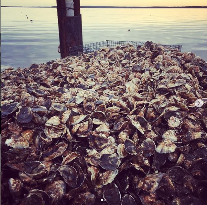 Eastern Bays Oyster Company
