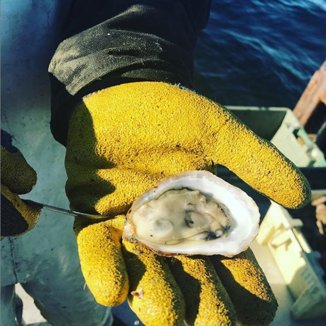 Eastern Bays Oyster Company