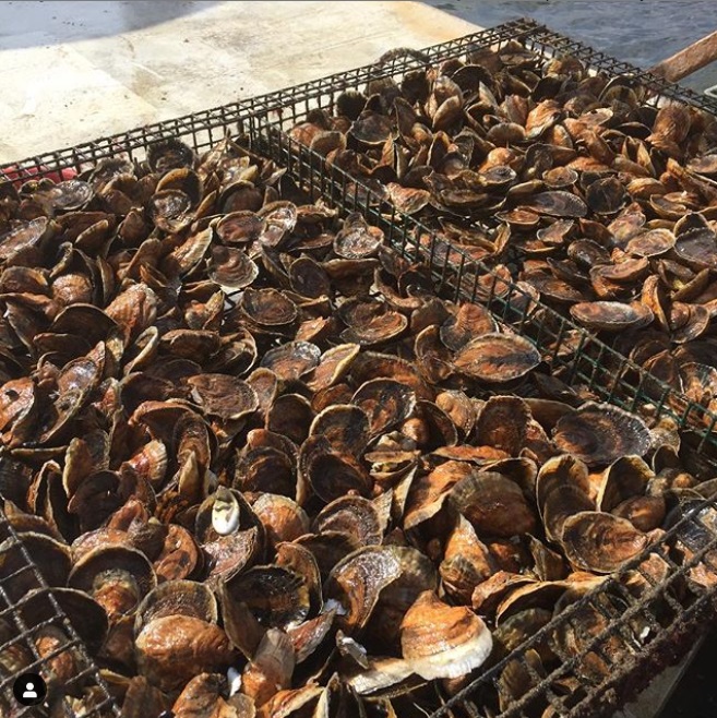 Eastern Bays Oyster Company