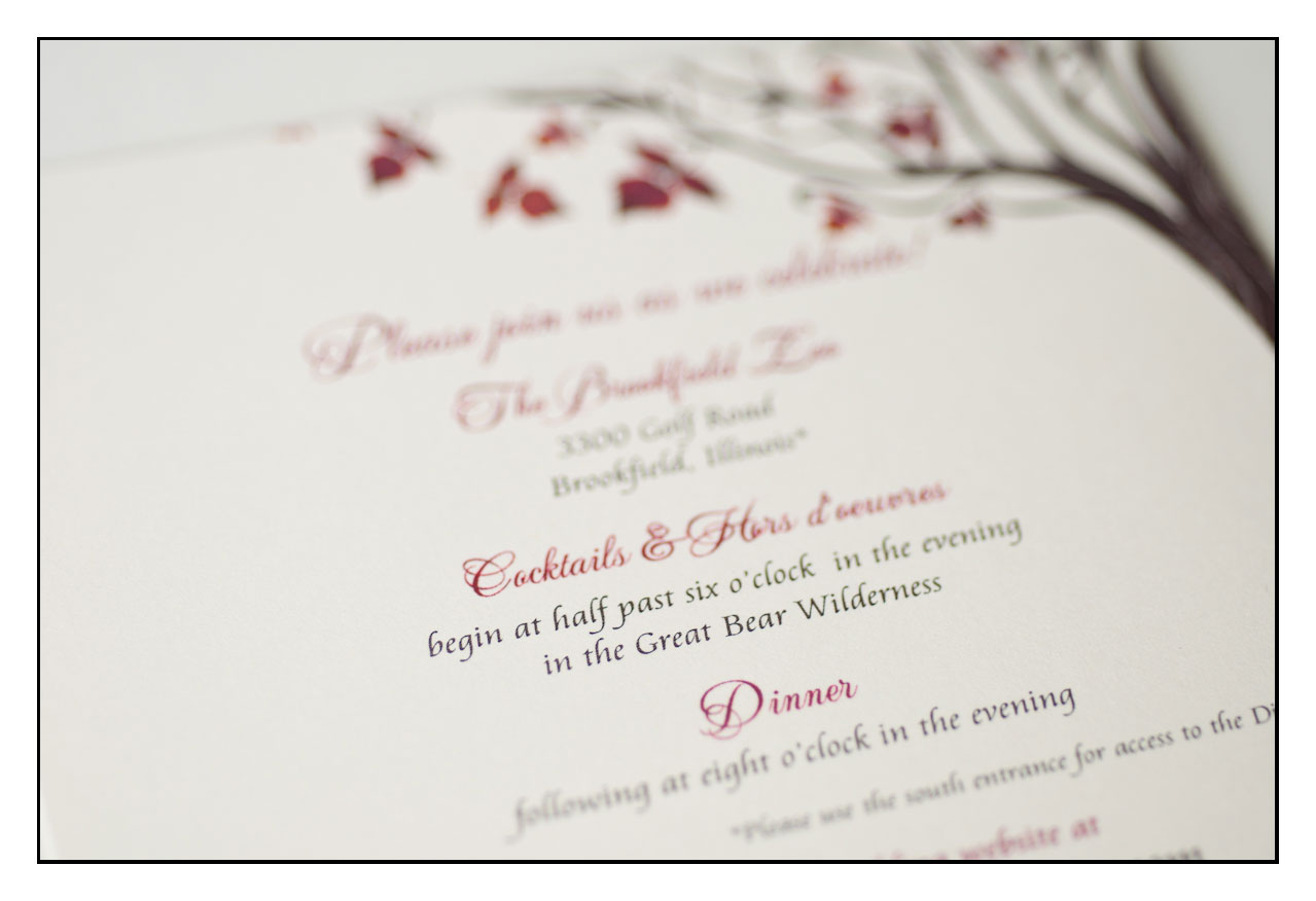 Marry Me! Designs