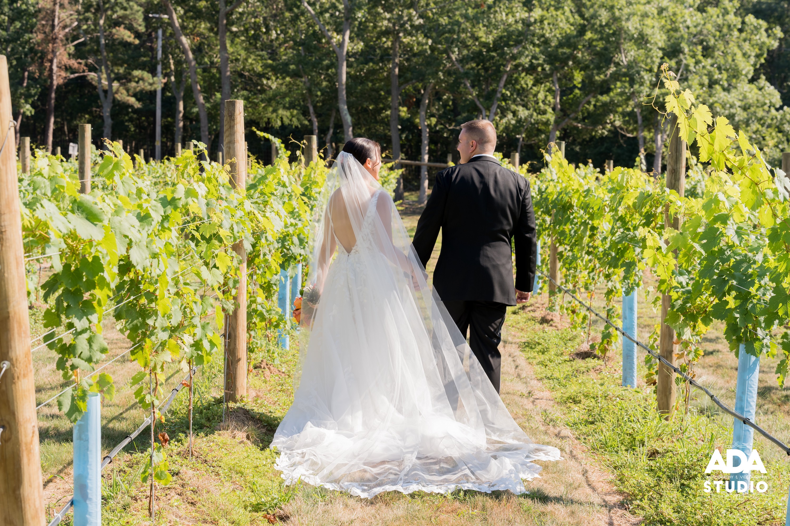 The Vineyard