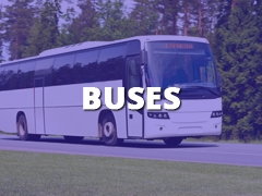 Buses-