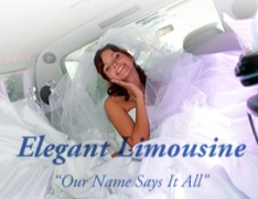 Elegant Limousine-Elegant Limousine
