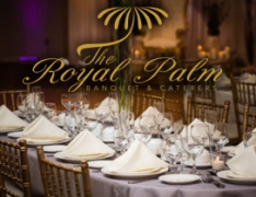 Royal Palm-The Royal Palm