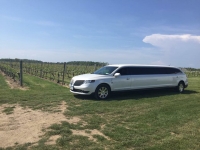 8 Passenger Lincoln MKT