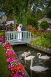 Swan Club on the Harbor