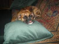 soon2BMrsMcD soon2BMrsMcD