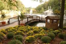 Bridey Bride Bridey Bride