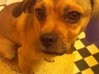 jessamyn78 jessamyn78