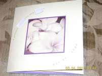 PurpleGrl156 PurpleGrl156