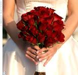 trinap3440 trinap3440