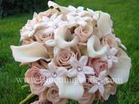 Bride4Mike07 Bride4Mike07