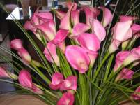 Soon2bMrsI Soon2bMrsI