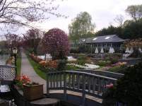 Pookiesangel Pookiesangel