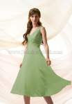 Jackie012100