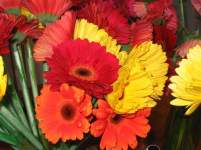 MrsJeff0512 MrsJeff0512