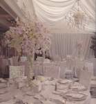 blushingbrideandgroom