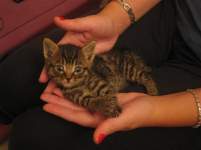 minniesmom minniesmom