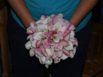 TiffanyBlue TiffanyBlue