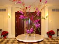 he gives me butterflies