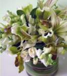 glinda_goodwitch glinda_goodwitch