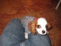 FutureMrsLV FutureMrsLV