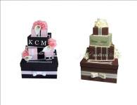 OctBride2009 OctBride2009