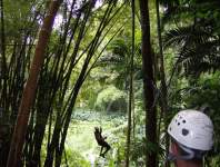 Sunset Renee Sunset Renee