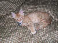 stinenandy2010 stinenandy2010