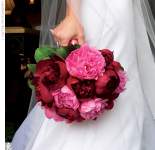 purplerain purplerain