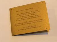 shelly17711 shelly17711