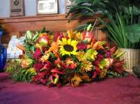 Kricket212 Kricket212