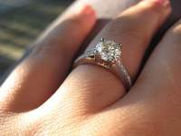 pandafish519 pandafish519