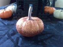 Jess and Jon Jess and Jon