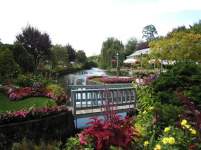 octbride129 octbride129