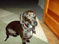 FCsBride914 FCsBride914