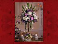 exoticbride2B exoticbride2B