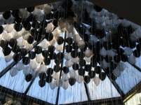 kimmaymb20 kimmaymb20