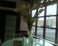 Soon2BeMrsMariduena Soon2BeMrsMariduena