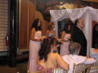 ladybengal ladybengal