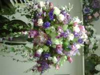 lanamanitta lanamanitta