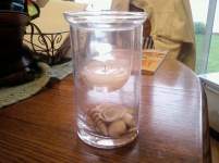 JandM041803 JandM041803