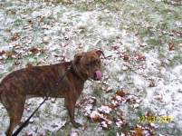 elisa112101 elisa112101