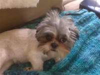 FutureMrsLots FutureMrsLots