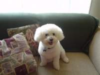 whispersamethyst whispersamethyst