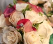 christine2010 christine2010