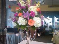 mellissapr mellissapr