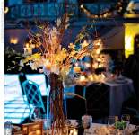 linny11412 linny11412